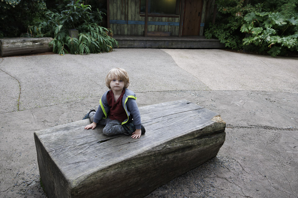 Woodland Park Zoo — photo 85